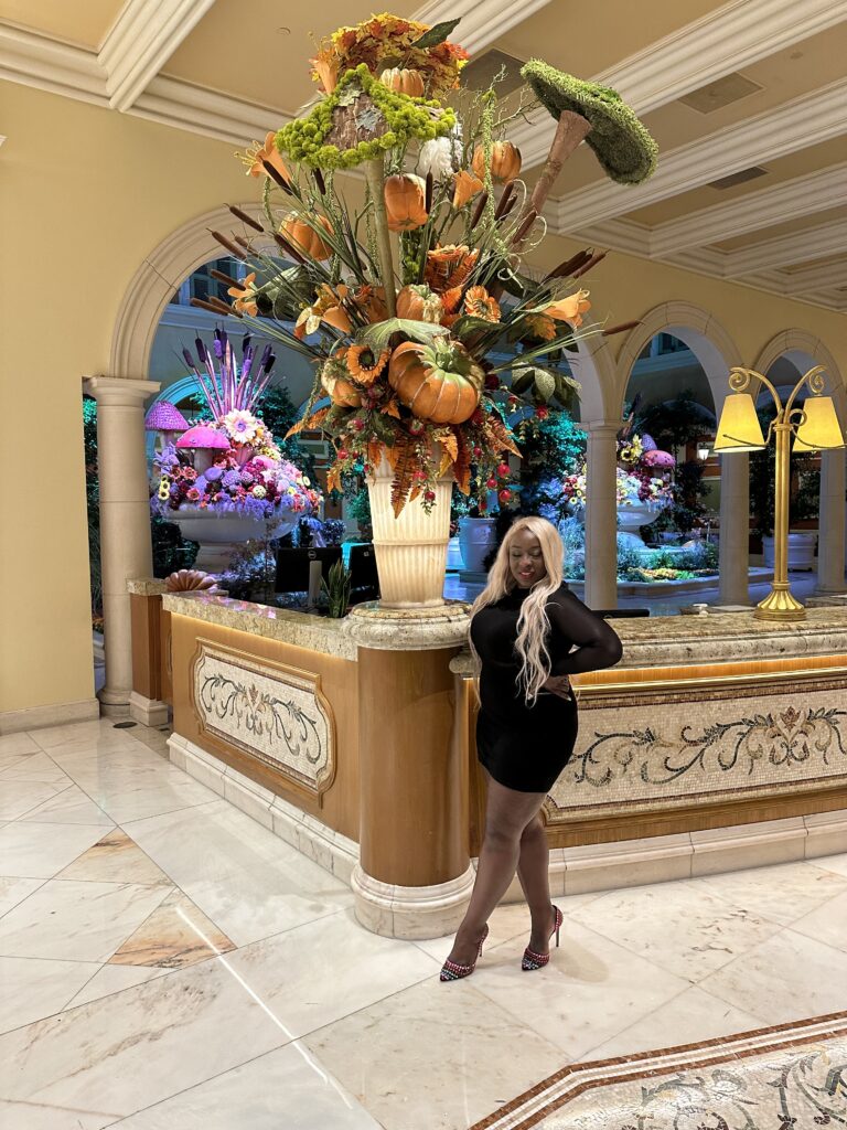 My Las Vegas Adventure
